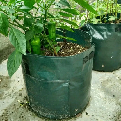 Rynx | Minigarden - Vegetables And Plant Grow Bags