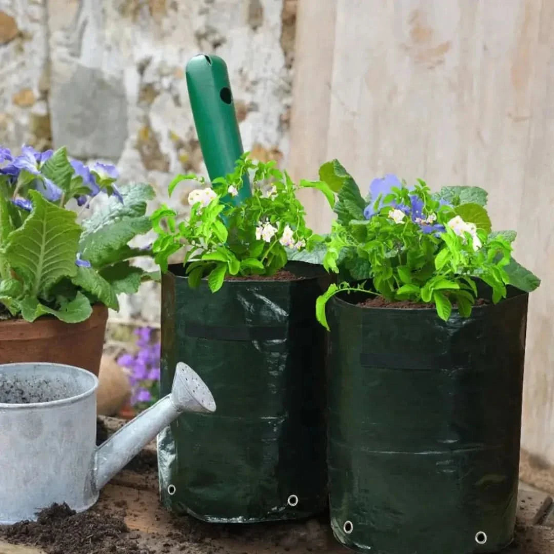 Rynx | Minigarden - Vegetables And Plant Grow Bags