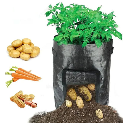 Rynx | Minigarden - Vegetables And Plant Grow Bags