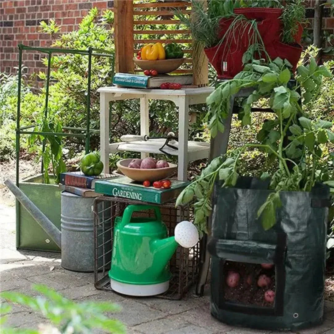 Rynx | Minigarden - Vegetables And Plant Grow Bags