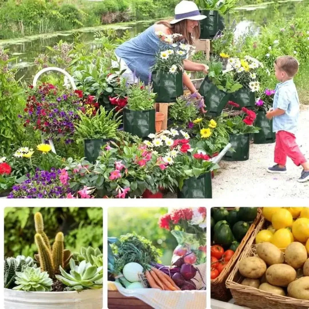 Rynx | Minigarden - Vegetables And Plant Grow Bags
