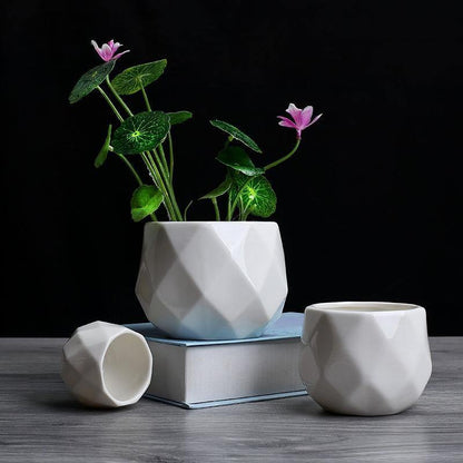 Rynx | GeoBloom Round Diamond Ceramic Succulent Pots | Modern Design | Various Sizes