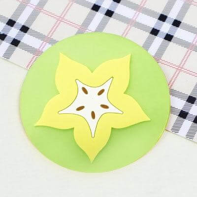 Rynx | 5pcs Silicon Custom Fruit Coasters