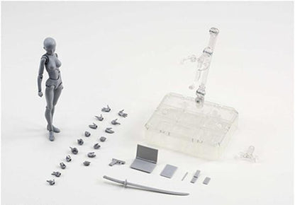 RYNX | Body-Kun - Models For Artists