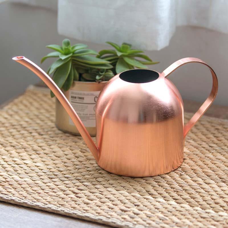 RYNX | Stainless Steel Watering Can with Flexible Neck | Modern Design | Perfect Watering | Rustproof