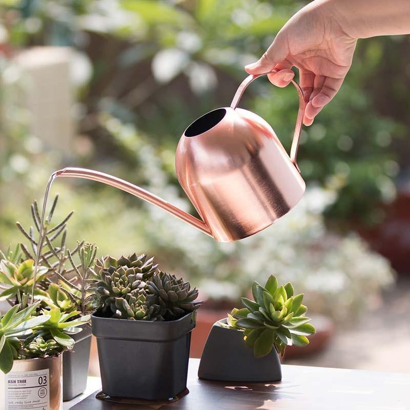 RYNX | Stainless Steel Watering Can with Flexible Neck | Modern Design | Perfect Watering | Rustproof