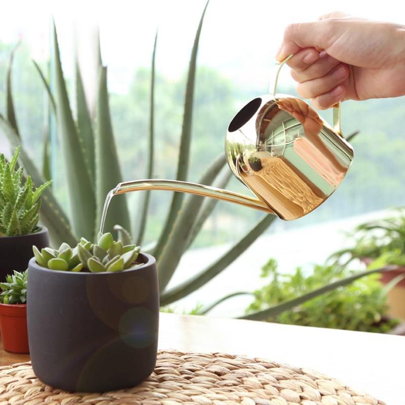RYNX | Stainless Steel Watering Can with Flexible Neck | Modern Design | Perfect Watering | Rustproof