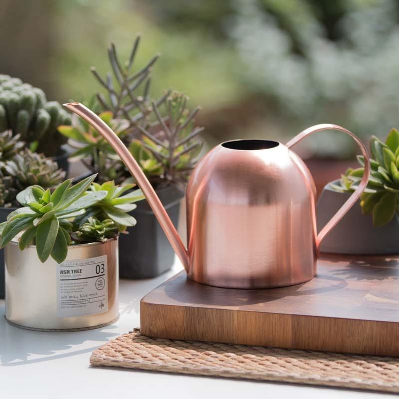 RYNX | Stainless Steel Watering Can with Flexible Neck | Modern Design | Perfect Watering | Rustproof