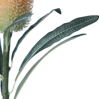 Rynx | The Banksia Artificial Flower Stem