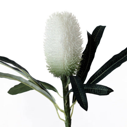 Rynx | The Banksia Artificial Flower Stem