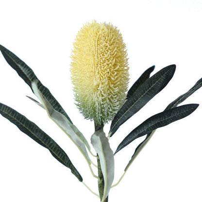 Rynx | The Banksia Artificial Flower Stem