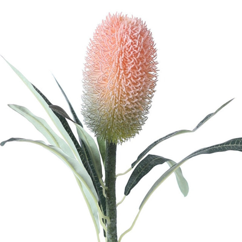 Rynx | The Banksia Artificial Flower Stem