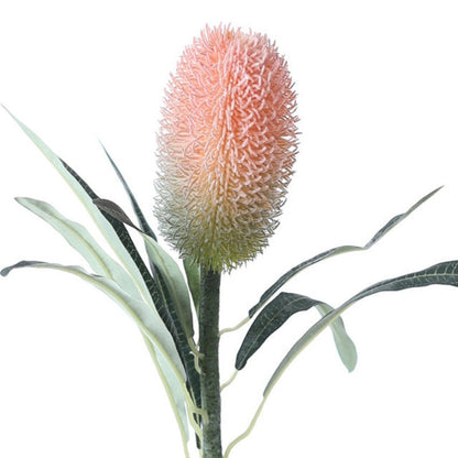 Rynx | The Banksia Artificial Flower Stem
