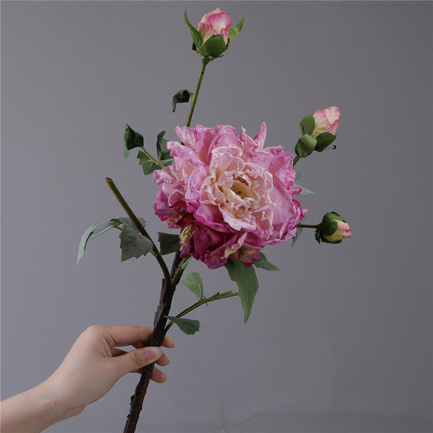 Rynx | The Luxe Overblown Peony Stem