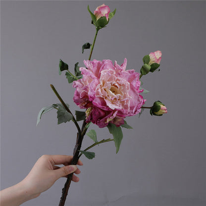 Rynx | The Luxe Overblown Peony Stem