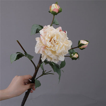 Rynx | The Luxe Overblown Peony Stem