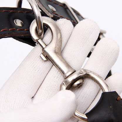 Rynx | Leather Dog Training Pet Leash with Spring Buffer to Decrease Pull Tension