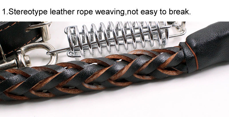 Rynx | Leather Dog Training Pet Leash with Spring Buffer to Decrease Pull Tension