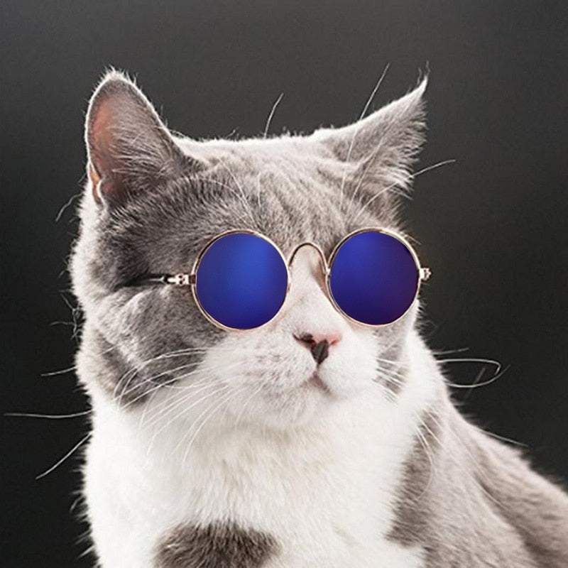 Rynx | Trendy Cat Sunglasses - KittyShades