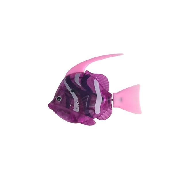 Rynx | Robofish - Robot fish for cats