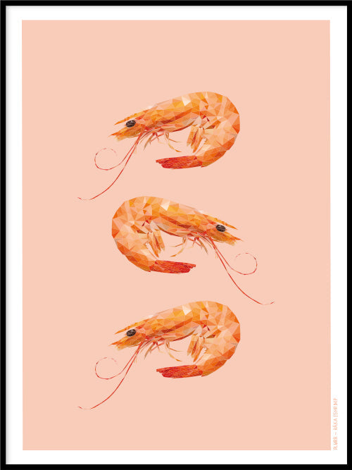 Rynx | Shrimp