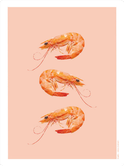 Rynx | Shrimp