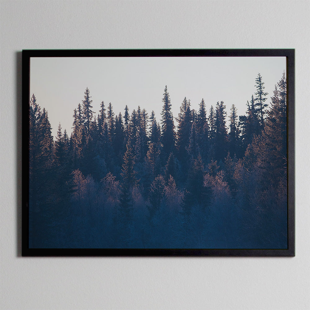 Rynx | Curtain