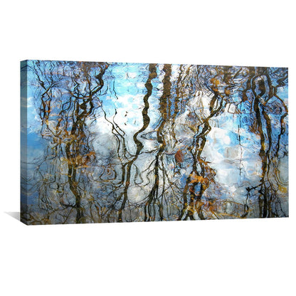 Rynx | Ripple Color Canvas