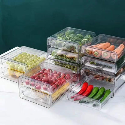 Rynx | Double Layer Refrigerator Container