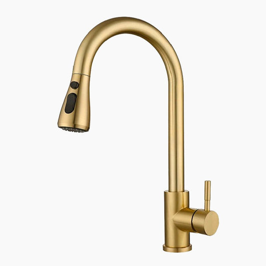 Rynx | Kitchen with golden hose spray