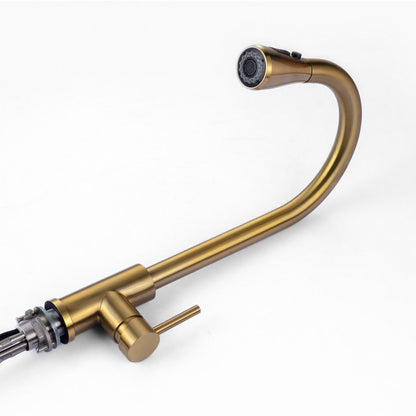 Rynx | Kitchen with golden hose spray