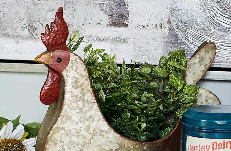 Rynx | Rustic metal chicken pot