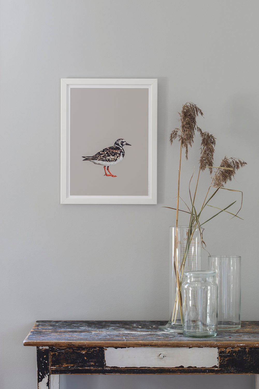 Rynx | Ruddy Turnstone