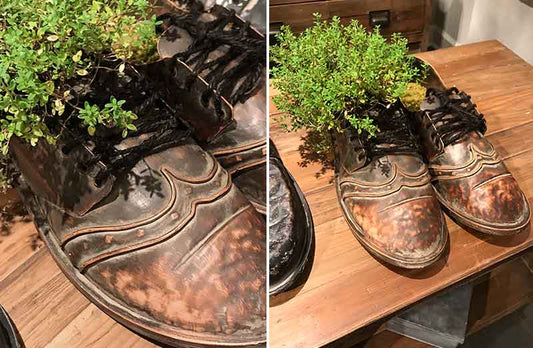 Rynx | Decorative Traveler's Seller Shoes