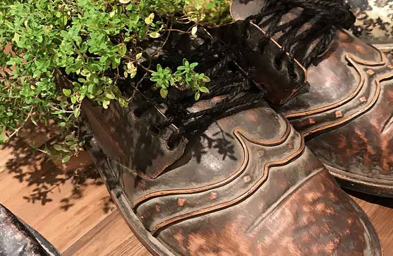 Rynx | Decorative Traveler's Seller Shoes