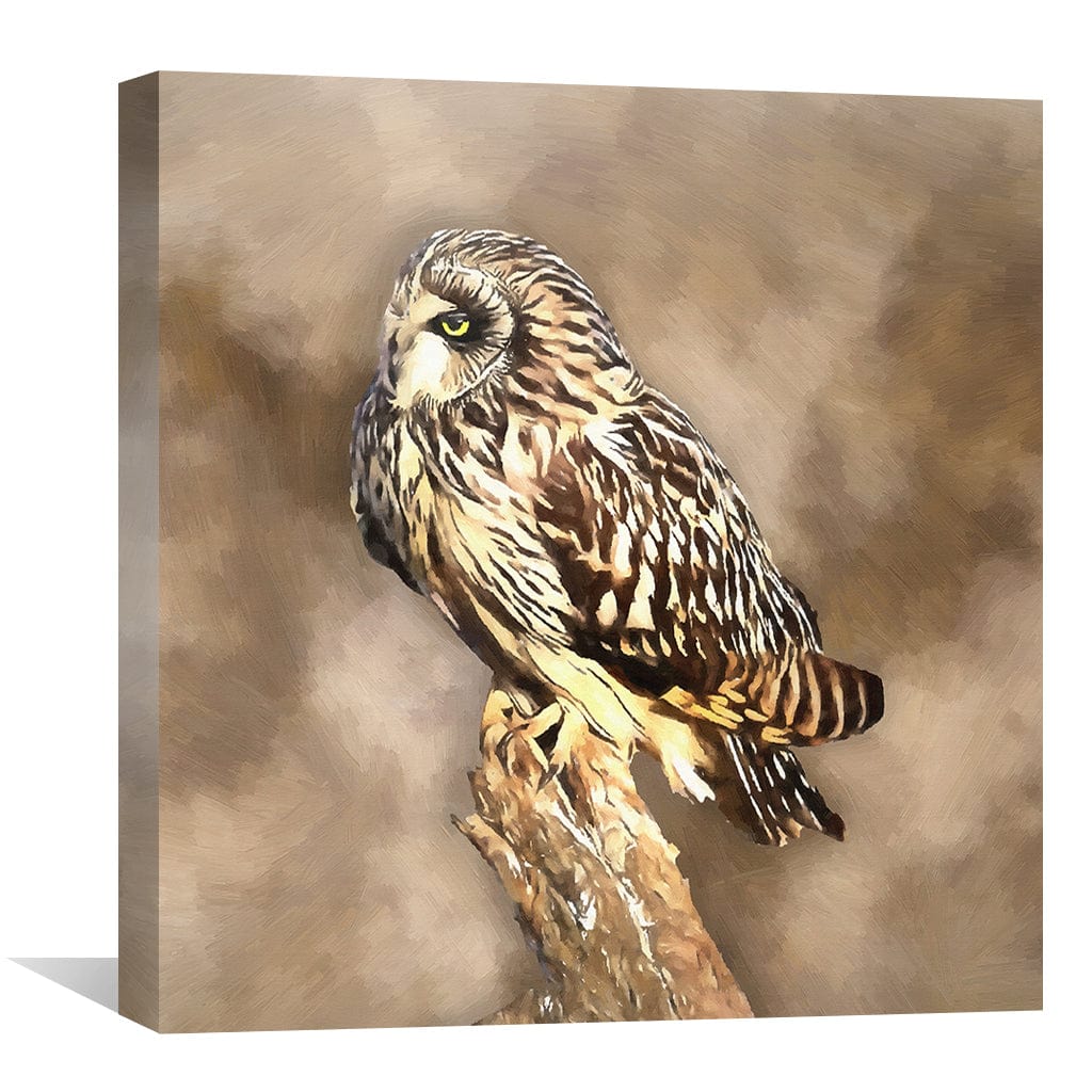 Rynx | Short Eared Owl Canvas