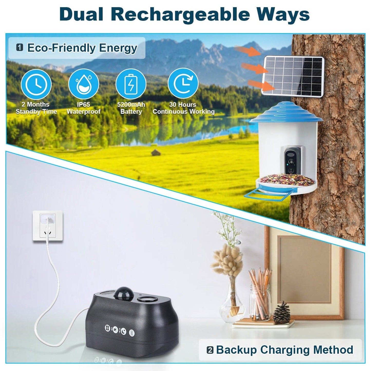 Rynx | Smart Bird Feeding Station with Solar-Powered Camera 1080P HD AI Identification PIR