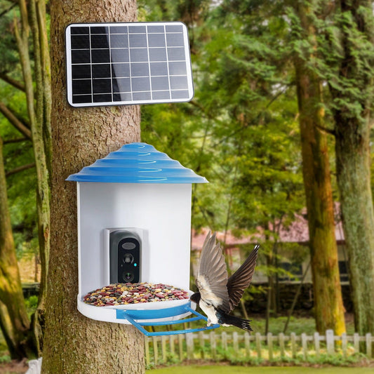 Rynx | Smart Bird Feeding Station with Solar-Powered Camera 1080P HD AI Identification PIR