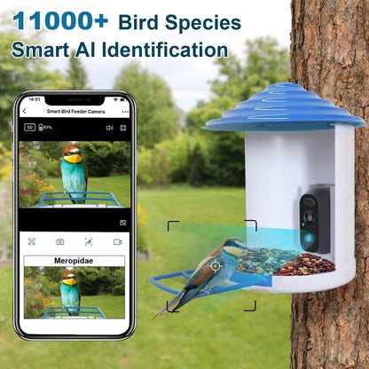 Rynx | Smart Bird Feeding Station with Solar-Powered Camera 1080P HD AI Identification PIR
