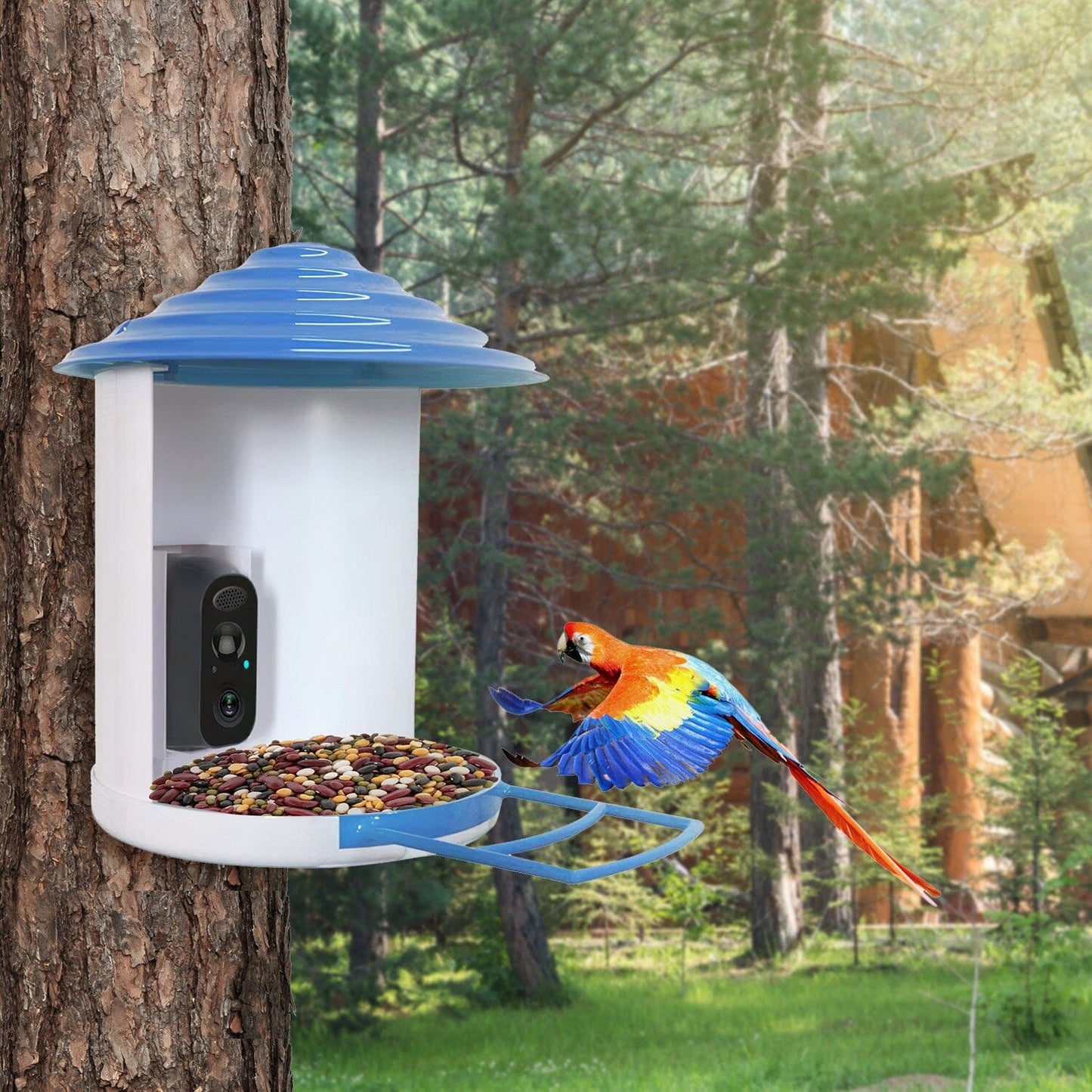 Rynx | Smart Bird Feeding Station with Solar-Powered Camera 1080P HD AI Identification PIR