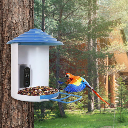 Rynx | Smart Bird Feeding Station with Solar-Powered Camera 1080P HD AI Identification PIR