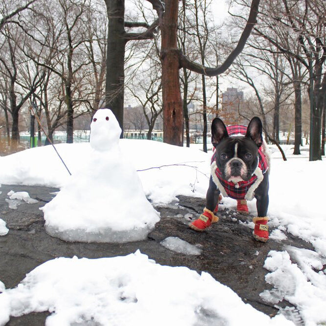 Rynx | Warm Dog Snow Boots - SnowPaws