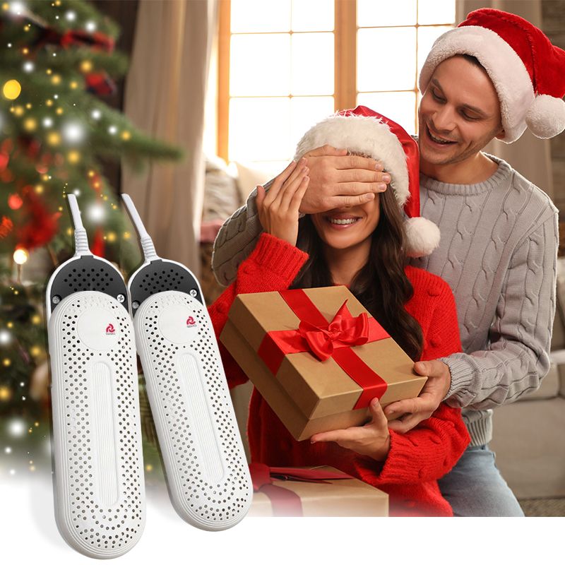 RYNX | Antibacterial Shoe Dryer For Odor Removal