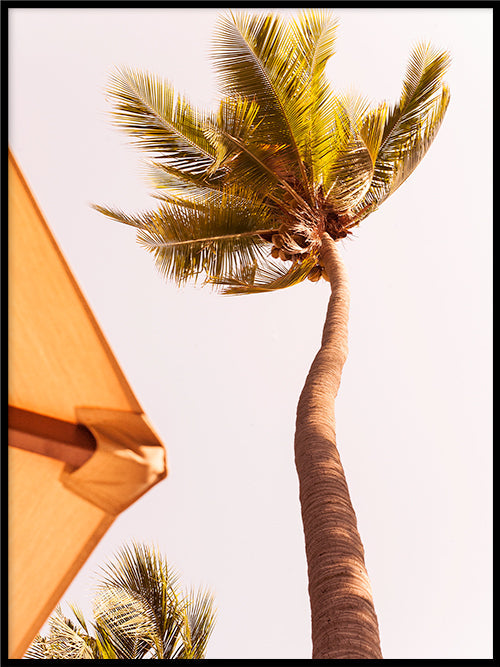 Rynx | Sunbed View