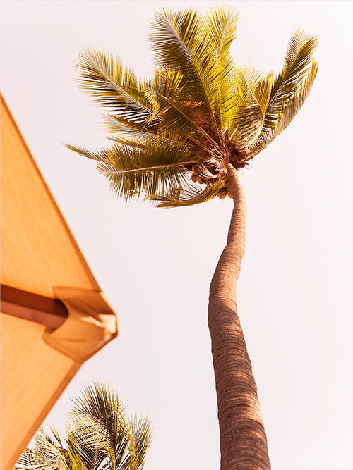 Rynx | Sunbed View