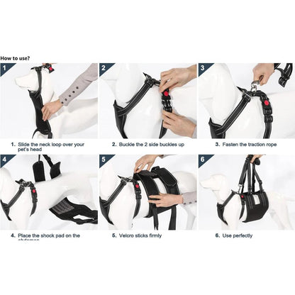 Rynx | Support Belt Set Adjustable Chest Strap for Elderly Disabled Dog