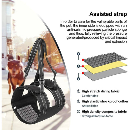 Rynx | Support Belt Set Adjustable Chest Strap for Elderly Disabled Dog