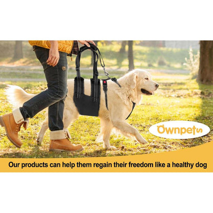 Rynx | Support Belt Set Adjustable Chest Strap for Elderly Disabled Dog