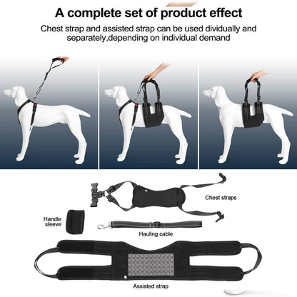 Rynx | Support Belt Set Adjustable Chest Strap for Elderly Disabled Dog