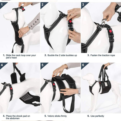 Rynx | Support Belt Set Adjustable Chest Strap for Elderly Disabled Dog